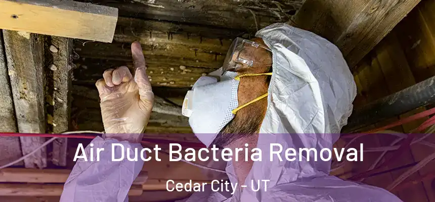  Air Duct Bacteria Removal Cedar City - UT