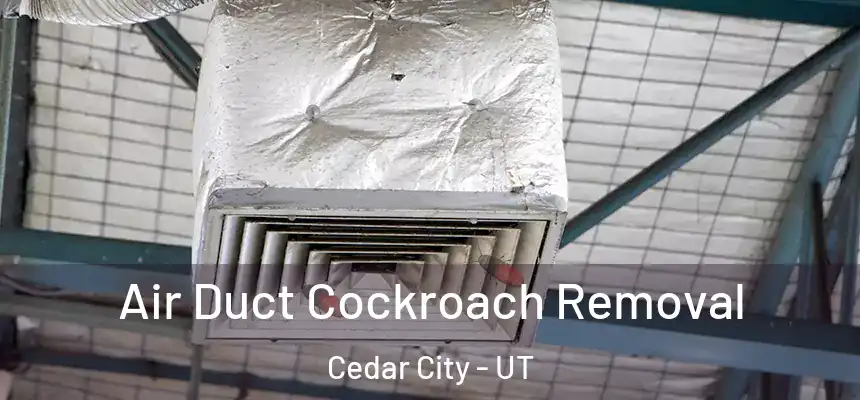  Air Duct Cockroach Removal Cedar City - UT