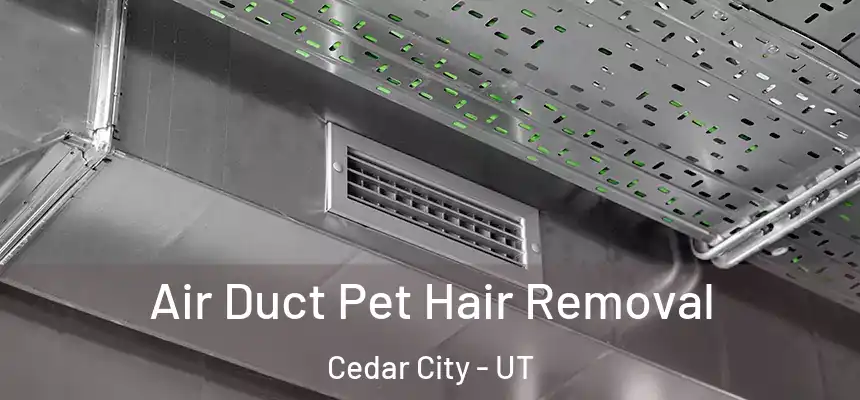  Air Duct Pet Hair Removal Cedar City - UT