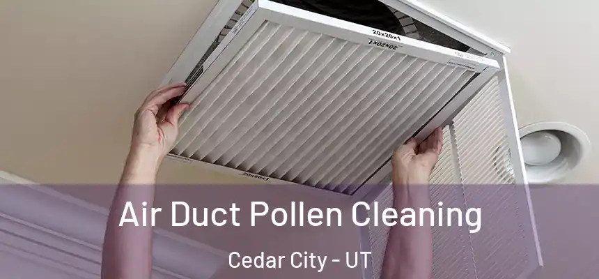 Air Duct Pollen Cleaning Cedar City - UT