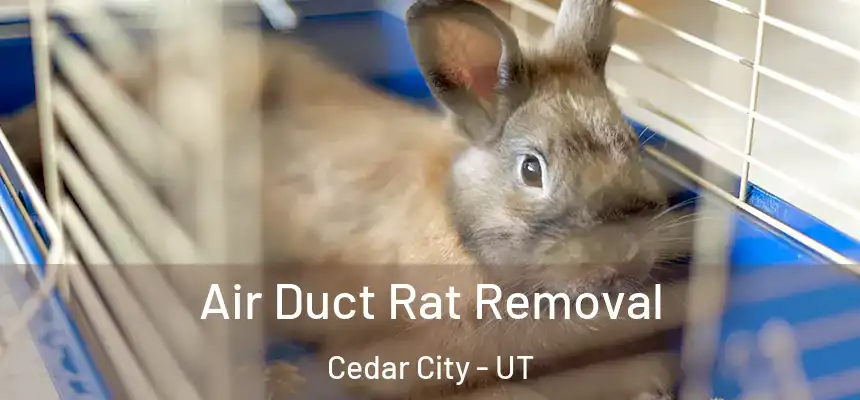 Air Duct Rat Removal Cedar City - UT