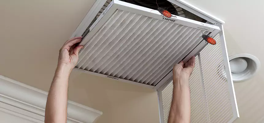 Preventive Cockroach-Proofing for Ducts in Cedar City
