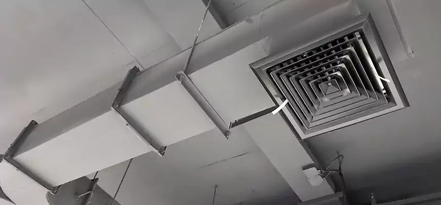 Restorative Allergy Relief Vent Cleaning – Coil, Blower & Housing Detail in Cedar City