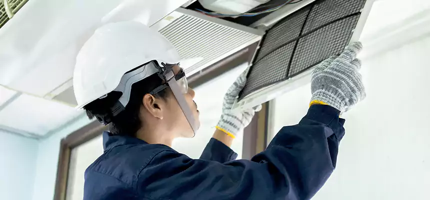 Our Mold & Mildew Removal from Air Ducts Services in Cedar City, UT