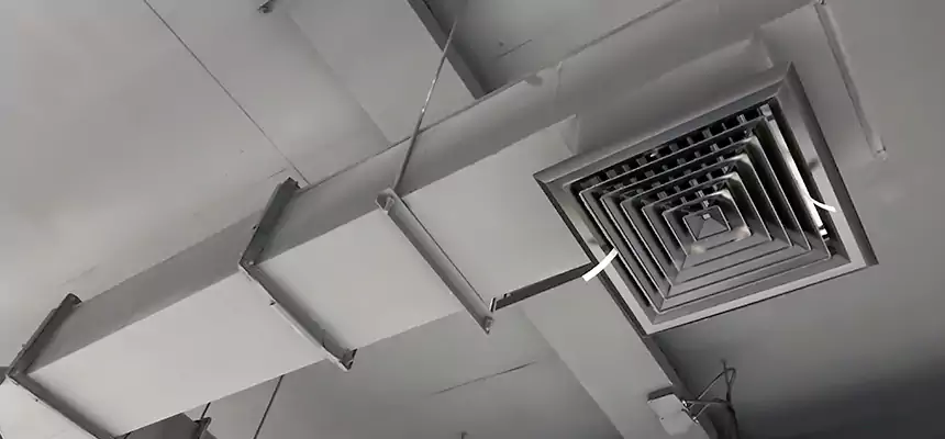 Our Rodent Droppings In Vents Services in Cedar City, UT