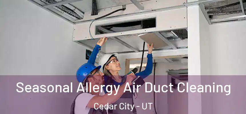  Seasonal Allergy Air Duct Cleaning Cedar City - UT