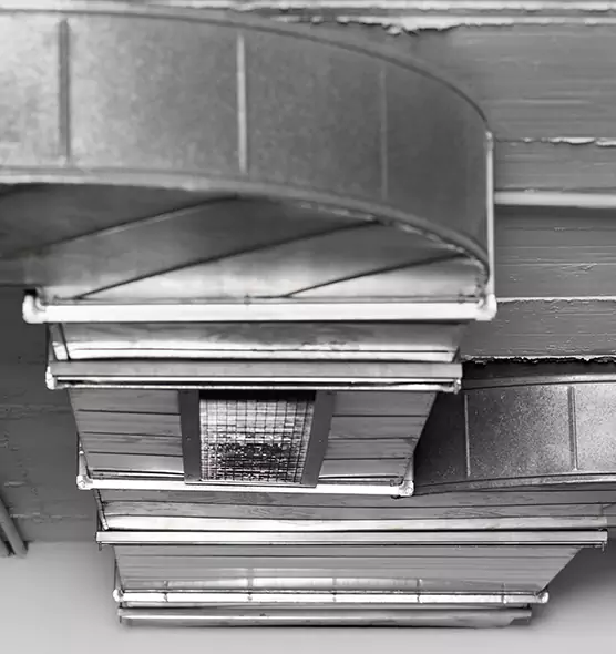 Professional Air Duct Pest Removal in Cedar City, UT