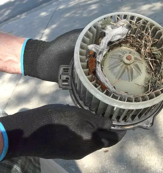 About Air Duct Rat Removal in Cedar City, UT