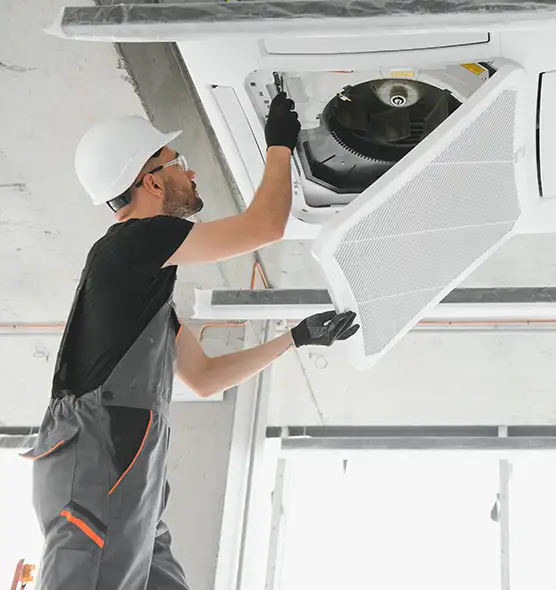 About Air Duct Rodent Removal in Cedar City, UT