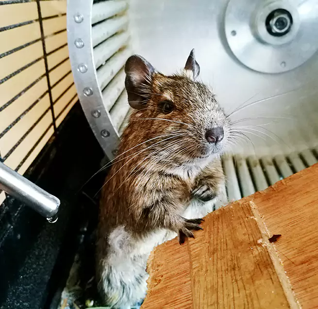 Why Homeowners & Businesses Trust Us Cedar City, UT