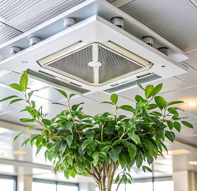 Why Homeowners & Businesses Trust Us in Cedar City, UT